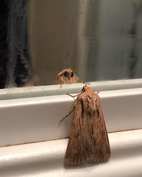 Thumbnail of p-cjhrxs7bsdb-bbc27ea12d8c4124 0