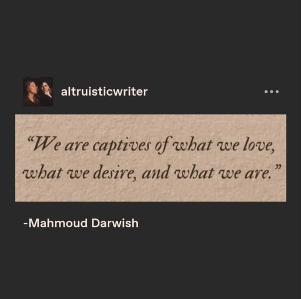 Thumbnail of dg-hlpvzb9s-bc6a337b5ff64076 8