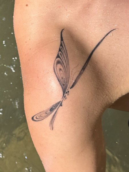 Thumbnail of p-dnc7tept9on-bc7690c3fa824533 0