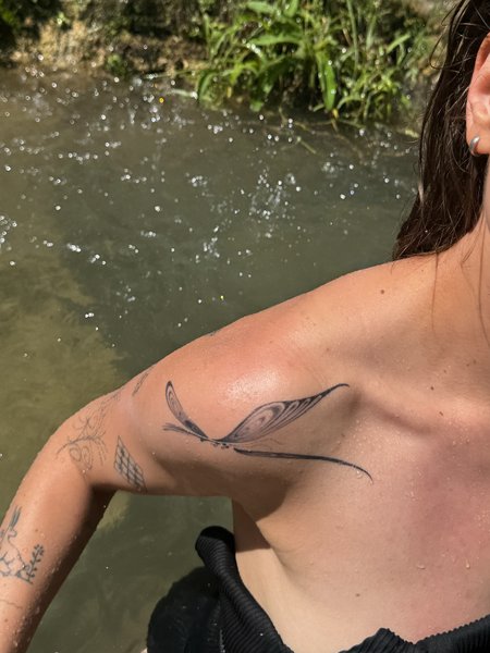 Thumbnail of p-dnc7tept9on-bc7690c3fa824533 1