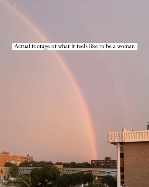 Thumbnail of p-c9vlpchy1bh-bc8515bb085b4a55 5