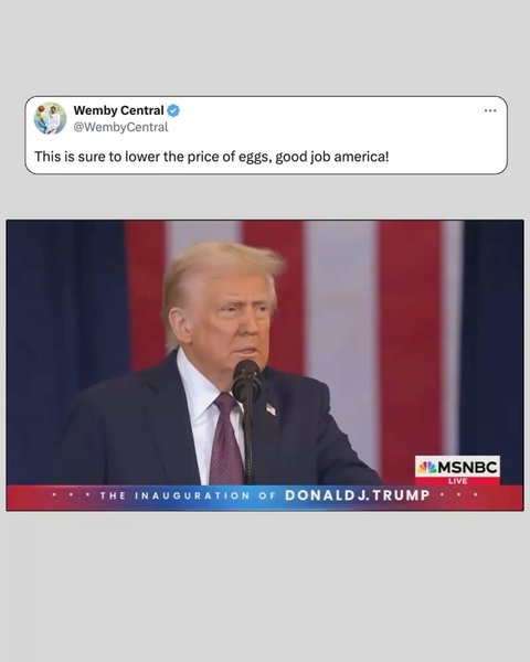 Thumbnail of dfd-wa0ydhj-bc8799db67cc4e60 11