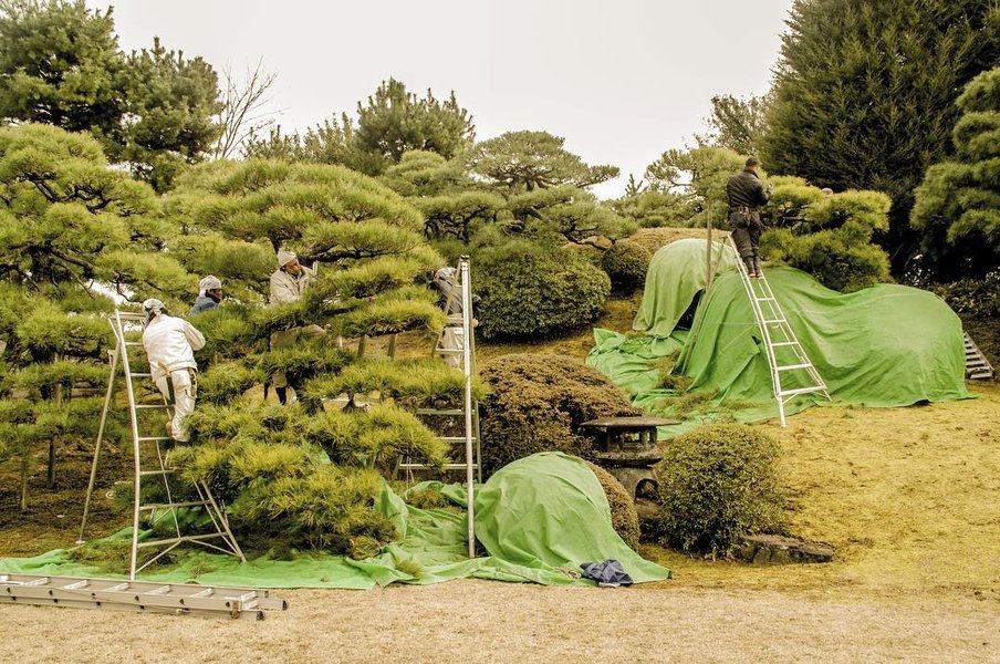 Thumbnail of brxm-pyh3g1-bd15c929bfcd4fee 0