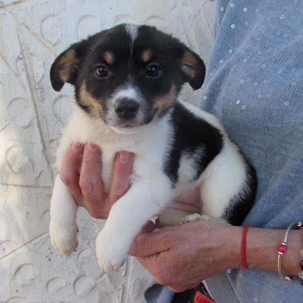 Thumbnail of bipp9don-r4-bd15dc05ae254e7a 0