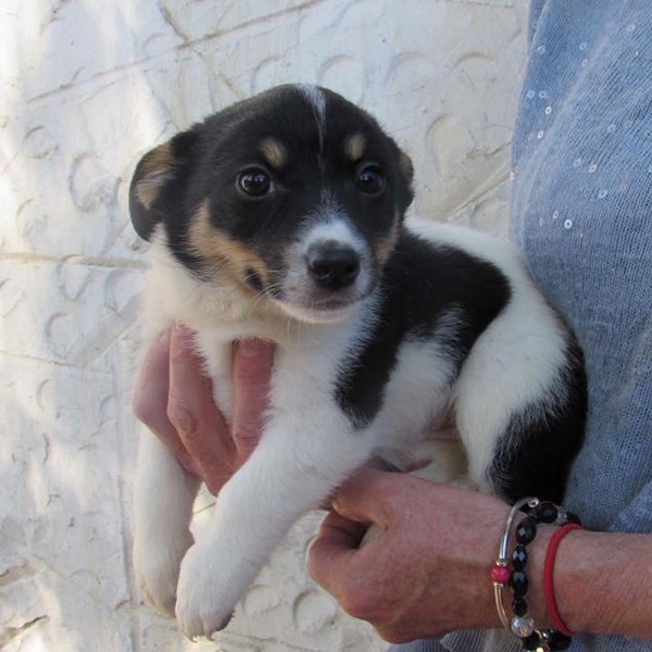 Thumbnail of bipp9don-r4-bd15dc05ae254e7a 1