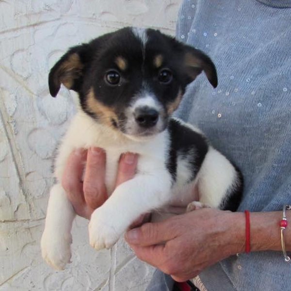 Thumbnail of bipp9don-r4-bd15dc05ae254e7a 2