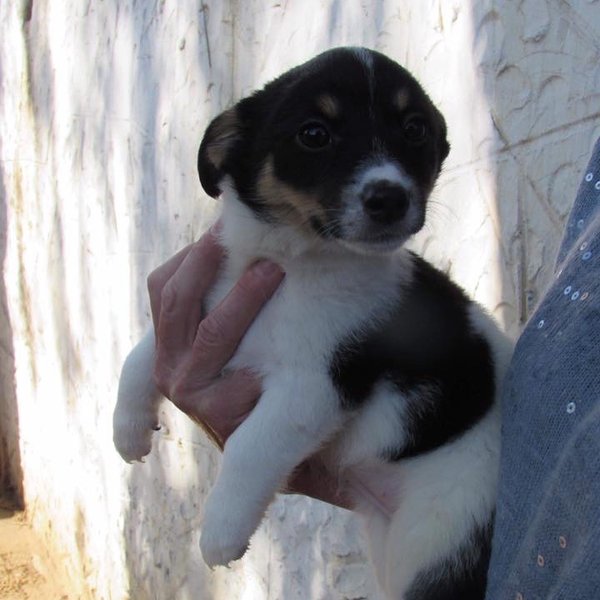 Thumbnail of bipp9don-r4-bd15dc05ae254e7a 3