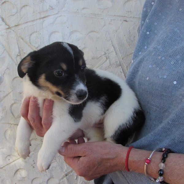 Thumbnail of bipp9don-r4-bd15dc05ae254e7a 5