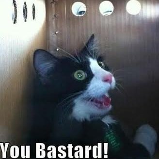 Thumbnail of p-cnkyvsmlnjv-bd577758abed430c 1