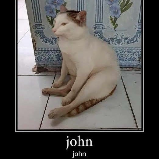 Thumbnail of p-cnkyvsmlnjv-bd577758abed430c 3