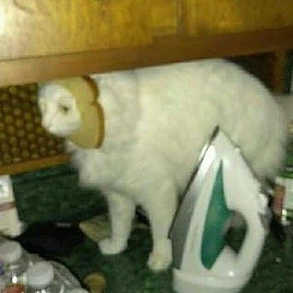 Thumbnail of p-cnkyvsmlnjv-bd577758abed430c 4