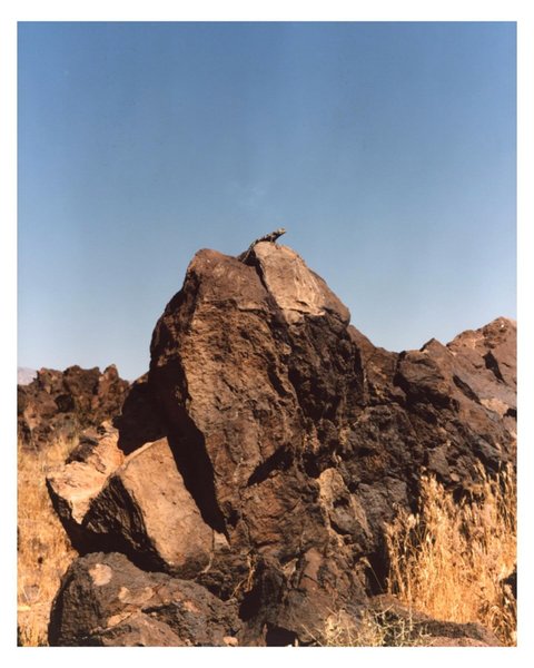 Thumbnail of p-c6e9urgsxd6-bd733f58ad6a44ae 1