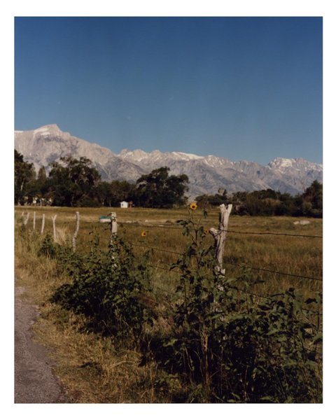 Thumbnail of p-c6e9urgsxd6-bd733f58ad6a44ae 3