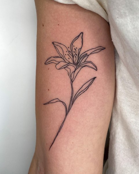 Thumbnail of czy4d-8u5ur-bda37764e7874e81 0