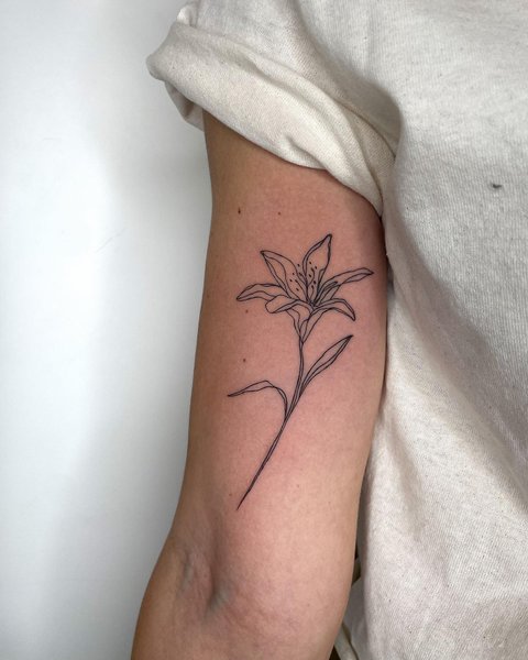 Thumbnail of czy4d-8u5ur-bda37764e7874e81 1