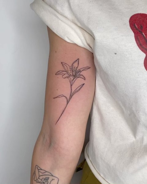 Thumbnail of czy4d-8u5ur-bda37764e7874e81 2