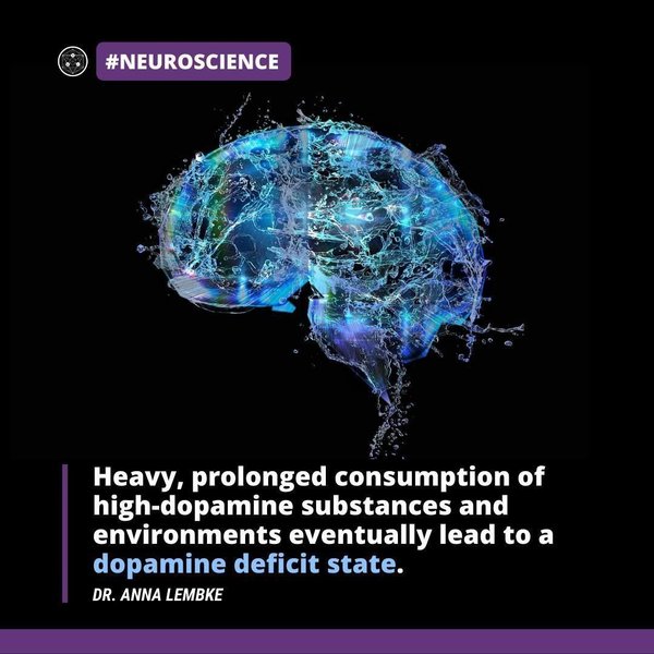 Thumbnail of p-ckmrmagmy36-bdb6bd585ab54504 0