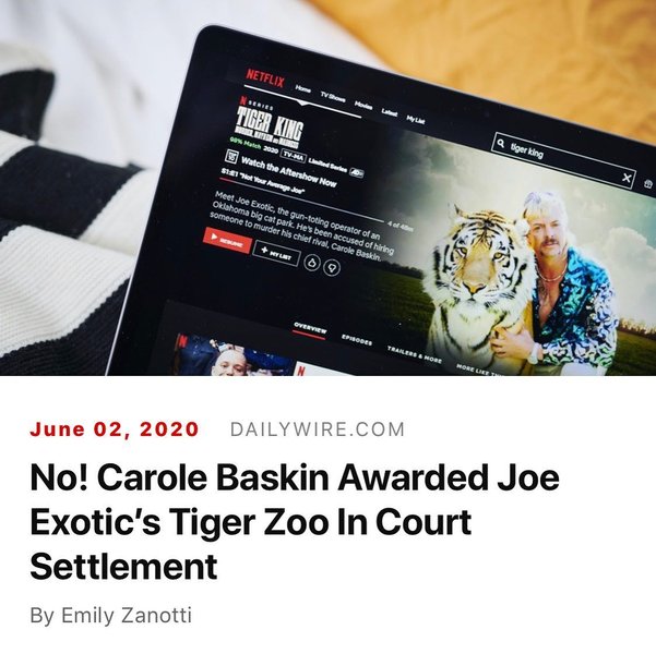 Thumbnail of p-ca8uarufxcd-be281ddd3dbd4b3e 0