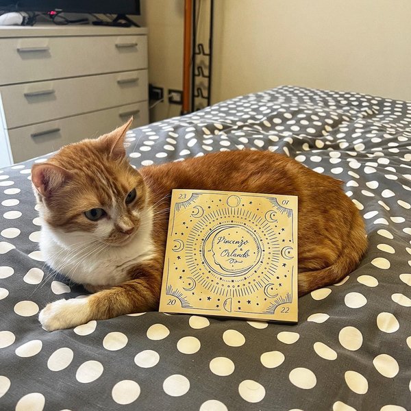 Thumbnail of p-czj1ppdjdoe-be361addba6e4508 0