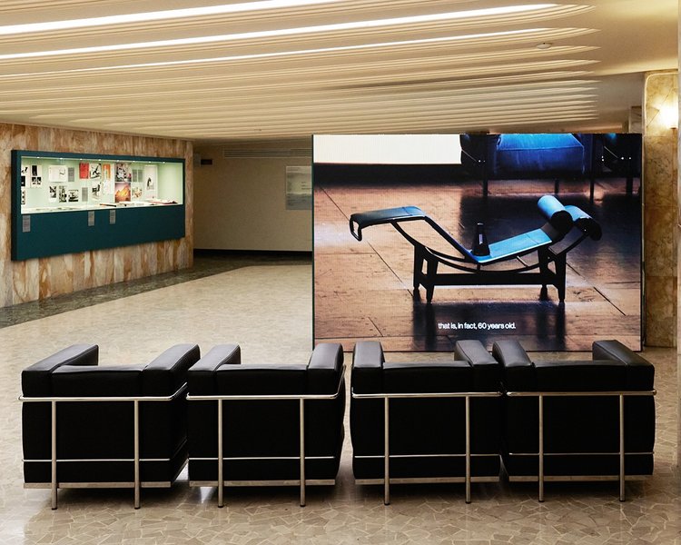 Thumbnail of p-divvxwuo9zq-be87c81e64504624 4