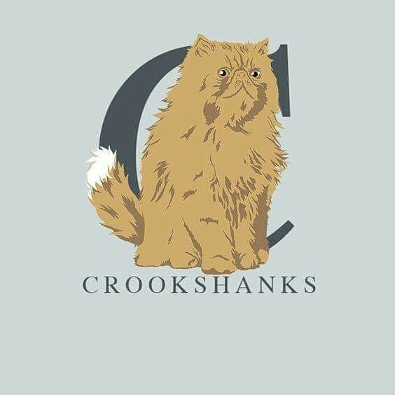 Thumbnail of p-bs3khbradif-beaaf32018a94e96 2