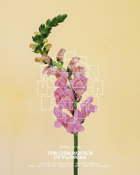 Thumbnail of p-dlpzaton3sx-beb2f2fb11f74932 1