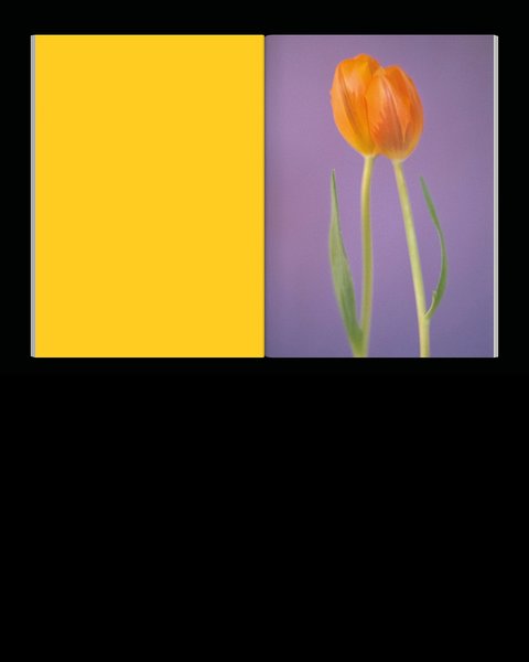 Thumbnail of p-dlpzaton3sx-beb2f2fb11f74932 2