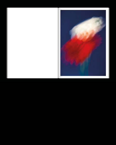 Thumbnail of p-dlpzaton3sx-beb2f2fb11f74932 4