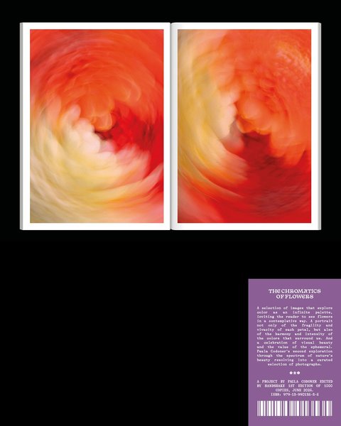 Thumbnail of p-dlpzaton3sx-beb2f2fb11f74932 5