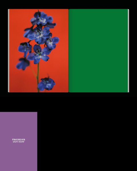 Thumbnail of p-dlpzaton3sx-beb2f2fb11f74932 6