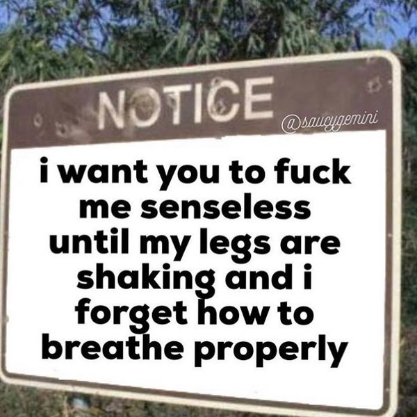 Thumbnail of p-b4vxekgf2wh-bec2041291304e32 0