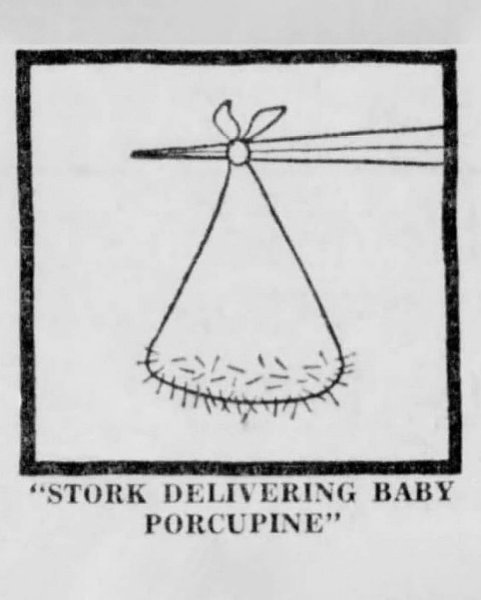 Thumbnail of p-c67avaeugf-beca52e4171c42dc 8
