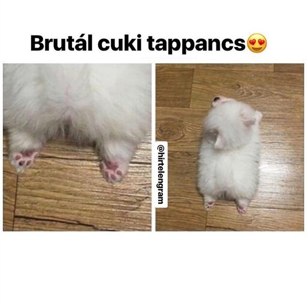 Thumbnail of bqusu-8a3ba-bedda575185d4fe9 4