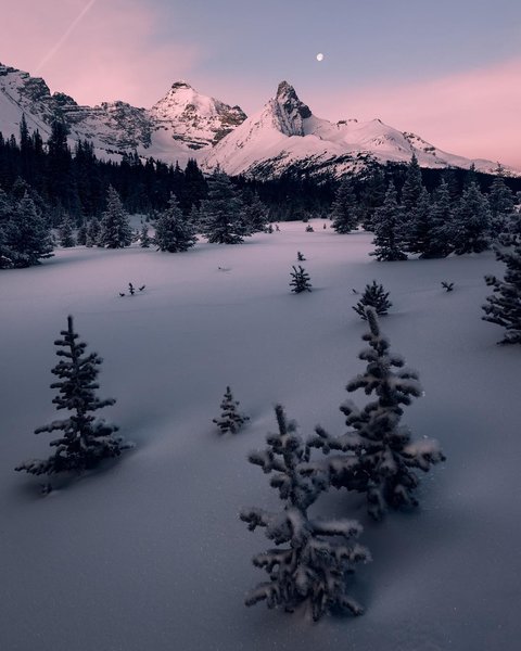 Thumbnail of bet6yonfc-o-bee5e88c35364a59 0