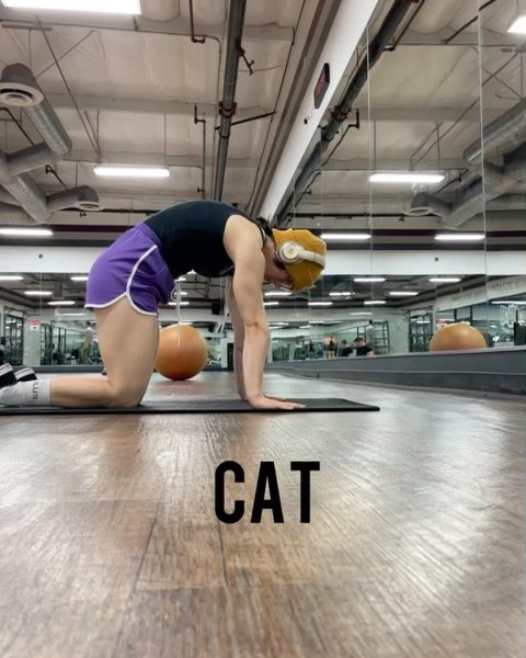 Thumbnail of p-cxj6yhyhdoi-befd154a10d144c0 2