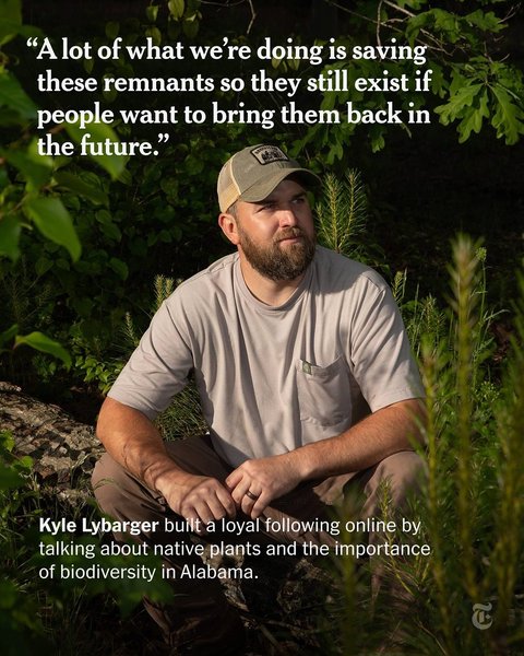 Thumbnail of p-dlahynfrivy-bf052a23aec94366 1