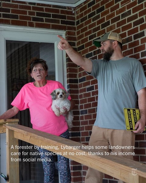 Thumbnail of p-dlahynfrivy-bf052a23aec94366 3