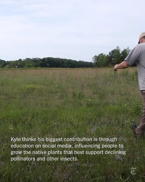 Thumbnail of p-dlahynfrivy-bf052a23aec94366 4