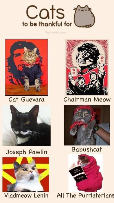 Thumbnail of www-x-com-strike-dr-status-1954314560518726089-bf1c9b5eb8434cf3