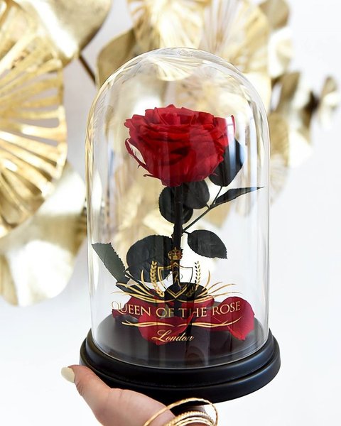 Thumbnail of p-btvqgffd7zz-bf257423f7214d0e 0