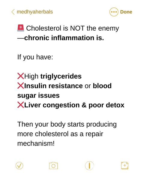 Thumbnail of p-dovhs8cdfvc-bf7b5aac90824628 11
