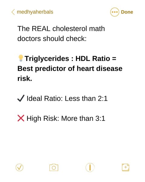 Thumbnail of p-dovhs8cdfvc-bf7b5aac90824628 7