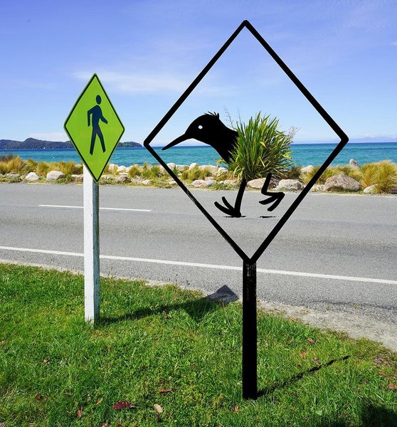 Thumbnail of p-bu1htgfa2v-bf858675fa704d92 2