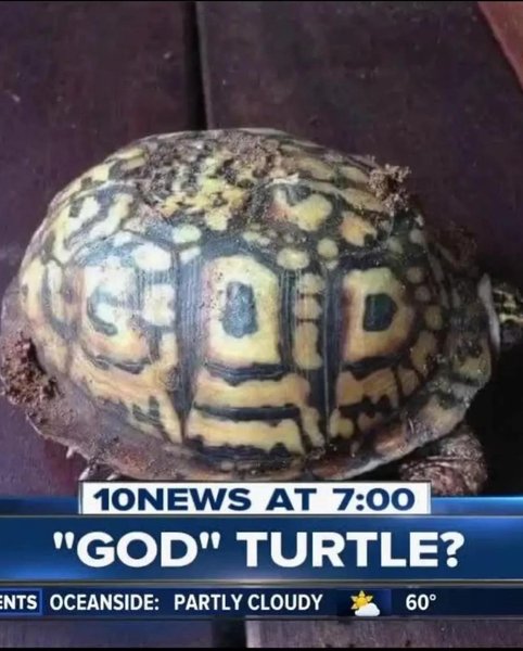 Thumbnail of p-cdpsf9pomfk-bf85ed04ff6e4e75 0