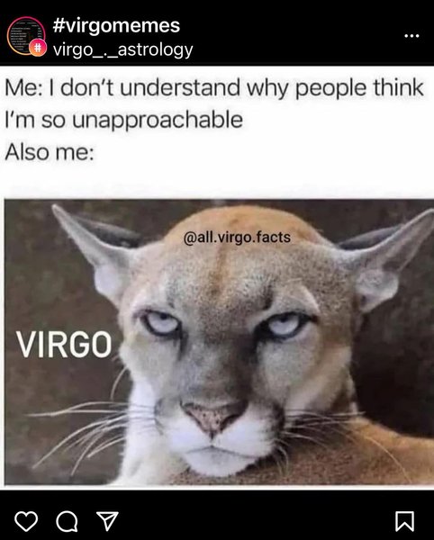 Thumbnail of p-cdpsf9pomfk-bf85ed04ff6e4e75 5