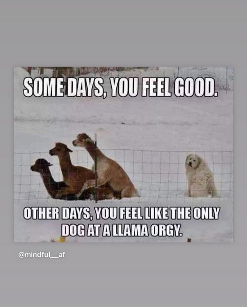 Thumbnail of p-cdpsf9pomfk-bf85ed04ff6e4e75 7