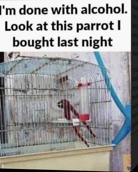 Thumbnail of p-cdpsf9pomfk-bf85ed04ff6e4e75 8