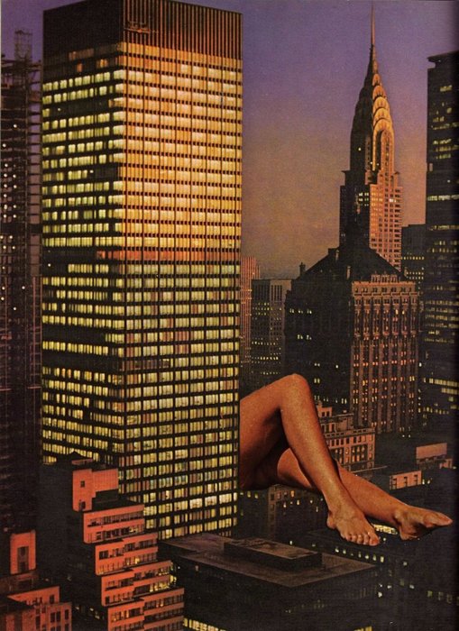 Thumbnail of www-x-com-oaknarrow-status-1996368936359931934-bf9c3572132e4a28