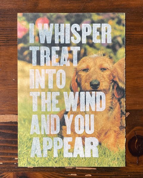 Thumbnail of p-cy6tdx6lj47-bfb08e2a58c8485d 1