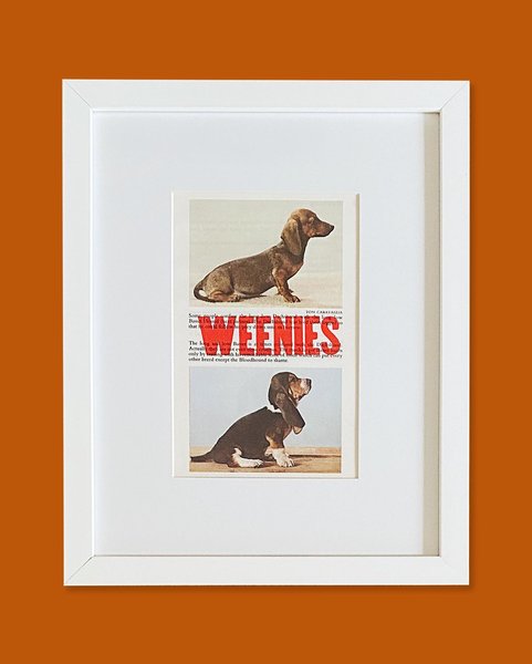 Thumbnail of p-cy6tdx6lj47-bfb08e2a58c8485d 6